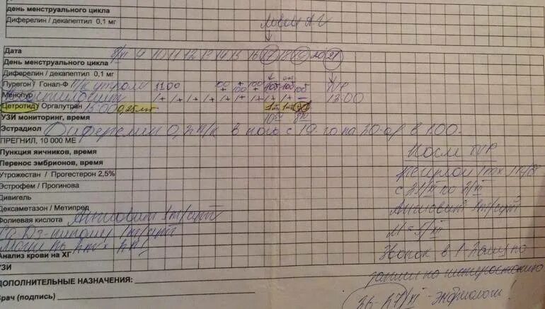 Сколько длится протокол. Протокол эко. Короткий протокол при эко. Схема короткого протокола эко. Лист протокола эко.