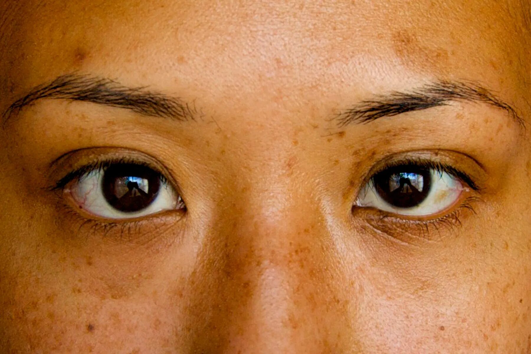 Le yeux