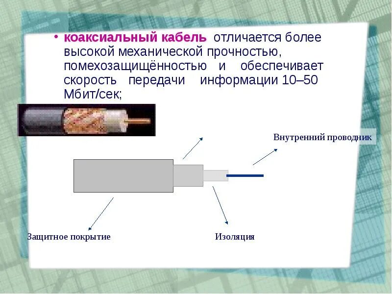 Шнуров отличился