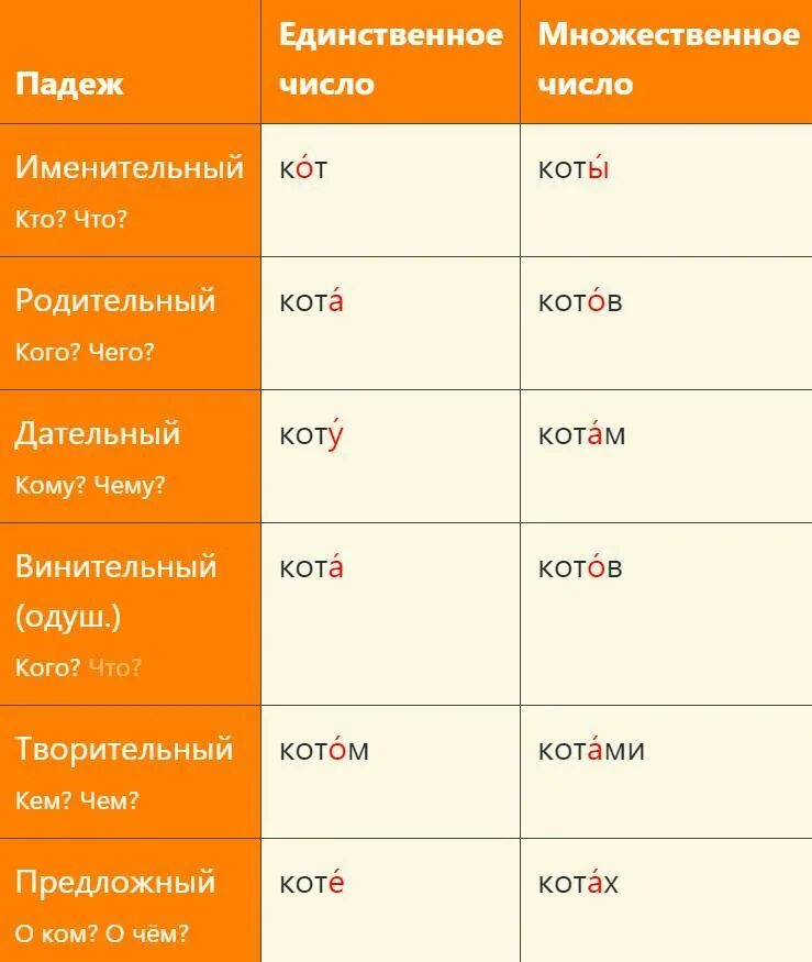 Таджики родительный падеж. Шорты склонение по падежам. Шорты в родительном падеже. Джинсы множественное число. Podeji edinstevvennom chisle.