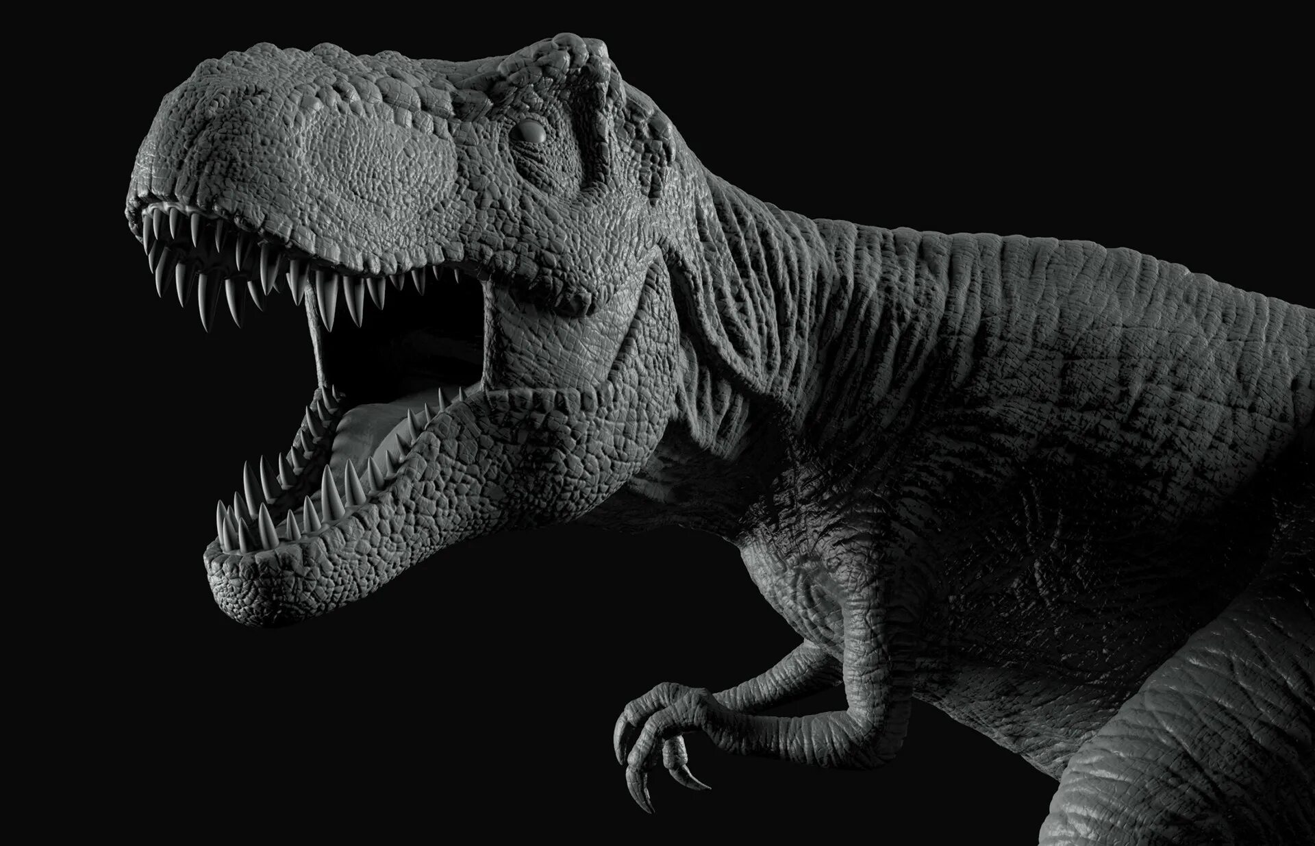 W rex