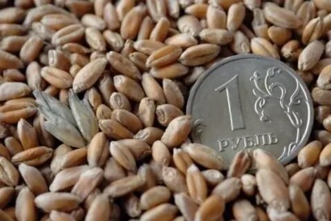 Реализация зерна