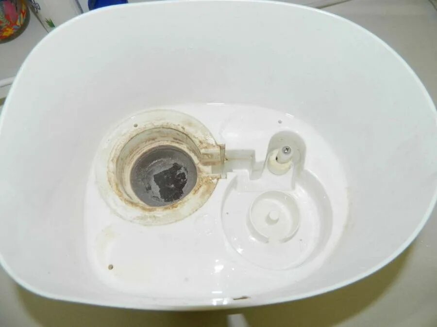 Плесень в увлажнителе воздуха. Фильтр для увлажнителя воздуха royal clima. Увлажнитель воздуха грибок. Розовая плесень в увлажнителе воздуха. Плесень в увлажнителе воздуха.