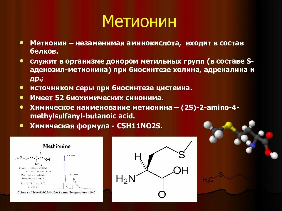 Метионин какая аминокислота