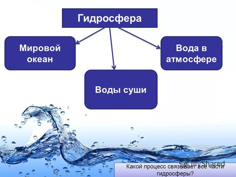 Основная часть гидросферы. Презентация на тему мировой океан. Гидросфера и человек. Воды гидросферы. Воды мирового океана схема.