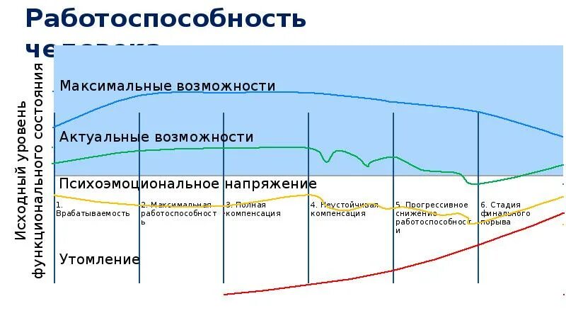 Какая стадия работоспособности. График работоспособности. Работоспособность схема. Максимальная работоспособность человека. Работоспособность человека схема.