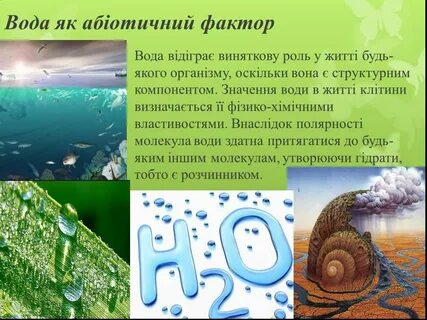 Вода какой фактор