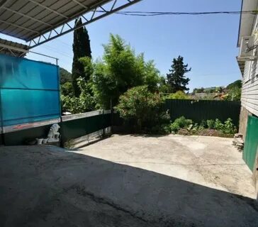 Золотая рыбка лоо 1