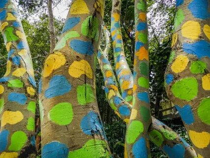 Краска для деревьев своими руками