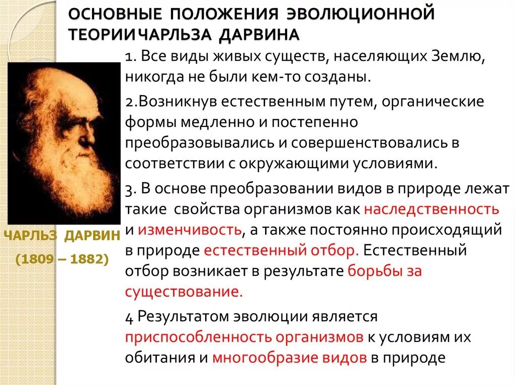 Первая теория дарвина. Основные положения эволюционной теории Чарльза Чарльза Дарвина. Основные положения эволюционного учения Дарвина. Положения эволюционной теории Дарвина.