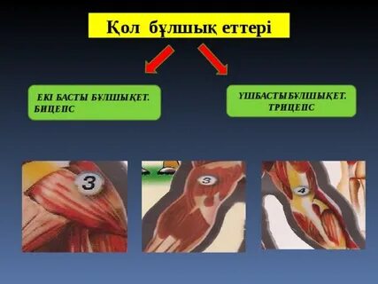 Басқа адамдардың әйелдерінің үйдегі бейнелері