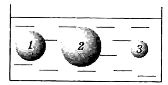 Три одинаковых по размеру шарика. Архимедова сила. Архимедова сила физика 7 класс тест. Плавание тел проверочная работа. Архимедова сила физика 7 класс.