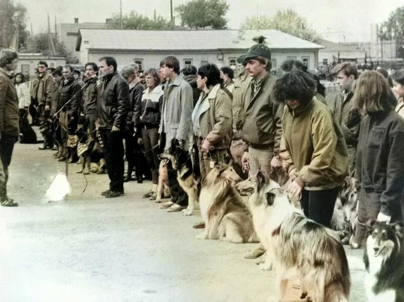 Первая выставка собаки. Собаководство 1896. ЦШВС 1992 1995. Советское собаководство. Первая выставка собак.