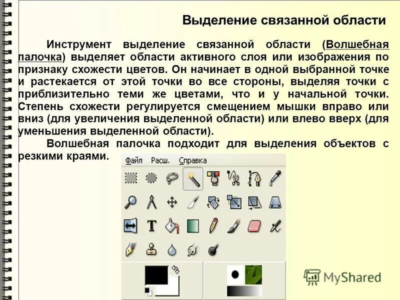 Adobe photoshop инструменты. Инструментами в географическом реакторе являются. Выделение в редакторе. Инструменты редактирования в графическом редакторе. Инструментами в графическом редакторе являются.