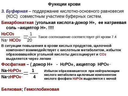 Роль дыхания в поддержании кислотно основного гомеостаза