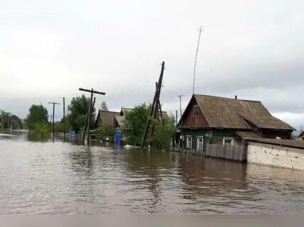 Шишкино забайкальский край