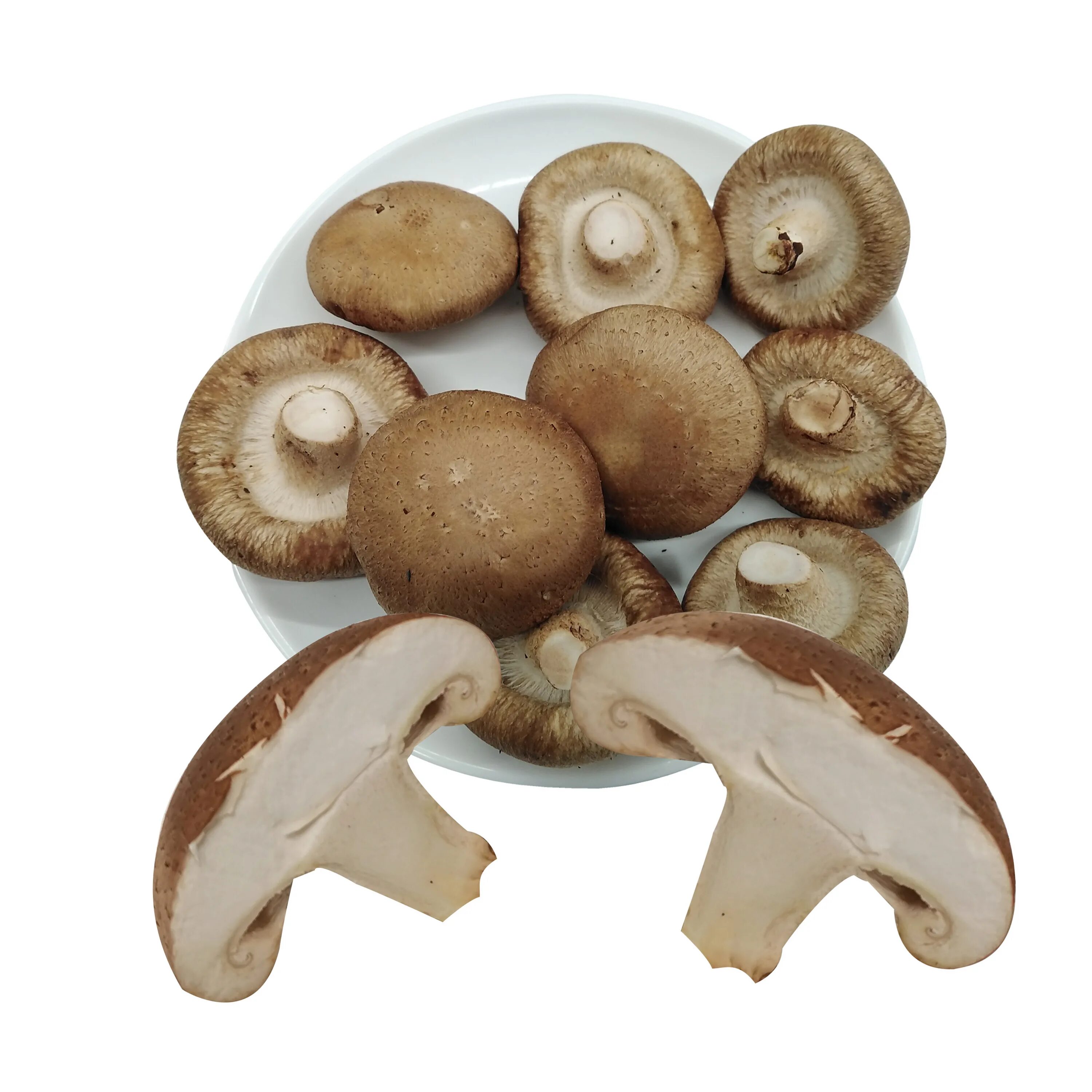 Корейские грибы шиитаке. Китайские грибы шитаки. Древесные грибы китайские шиитаке. Гриб коралловый шитаки.