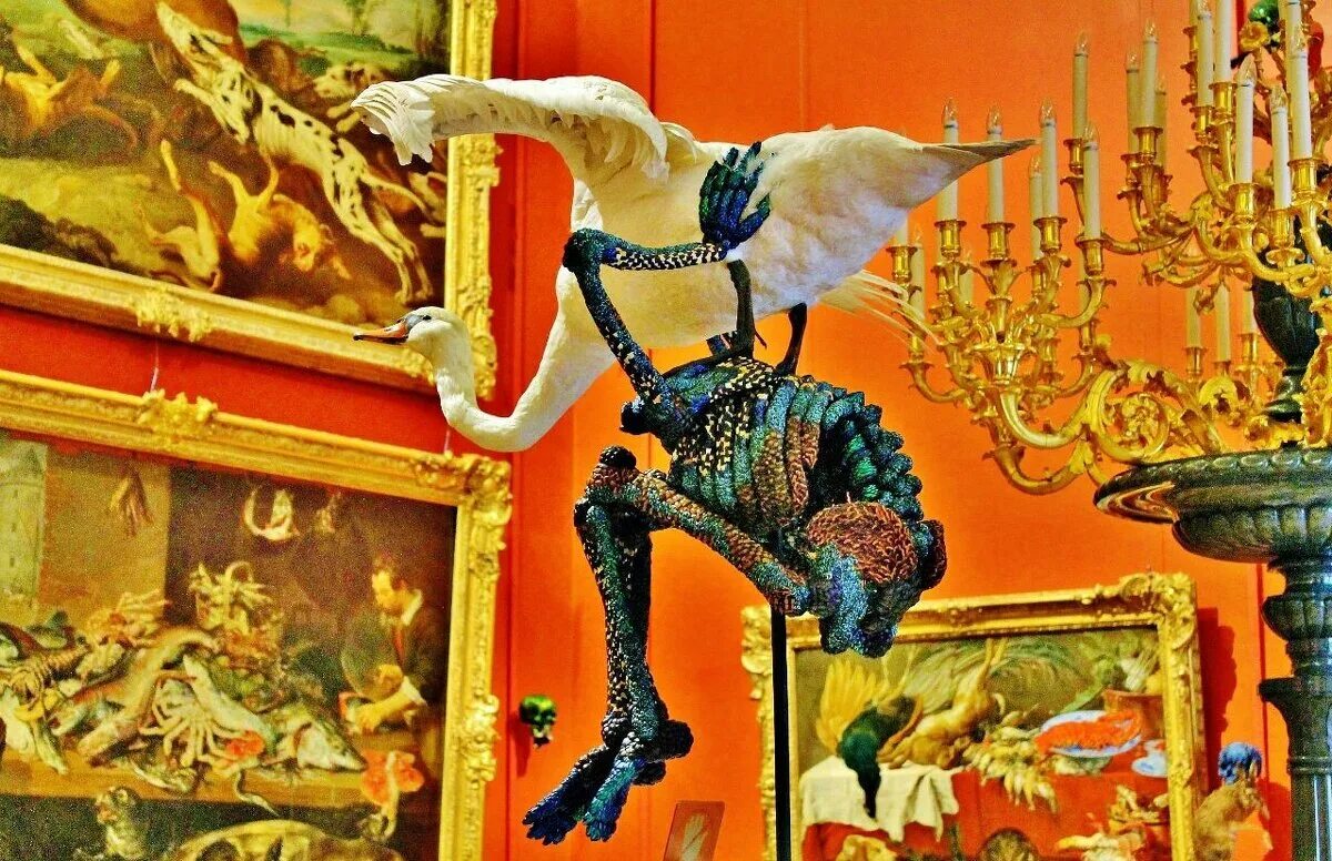 стоящая на глупости. демотиваторы про глупость. глупые поступки. стоящая на глупости. высказывания о глупых людях.