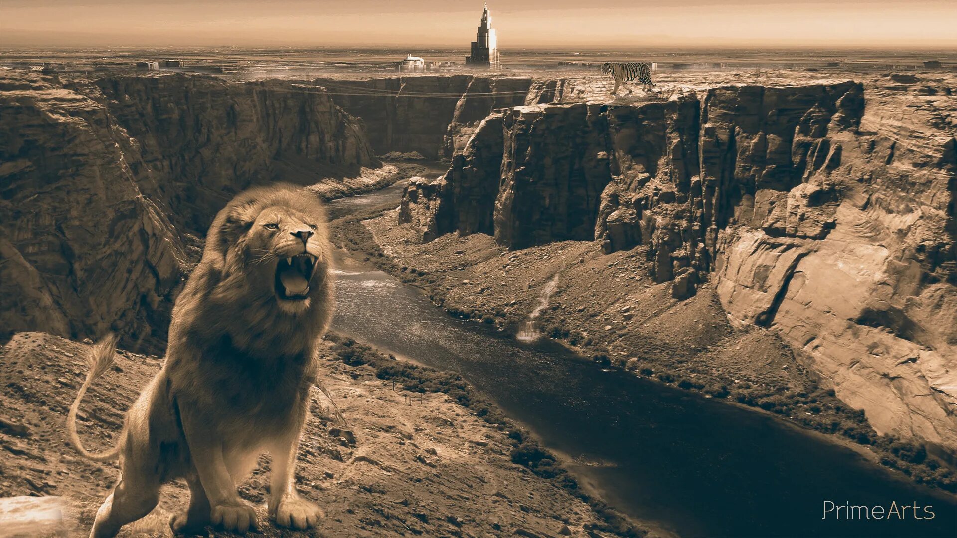 Лев в горах. Лев на скале. Лев обои. Одинокий Лев.