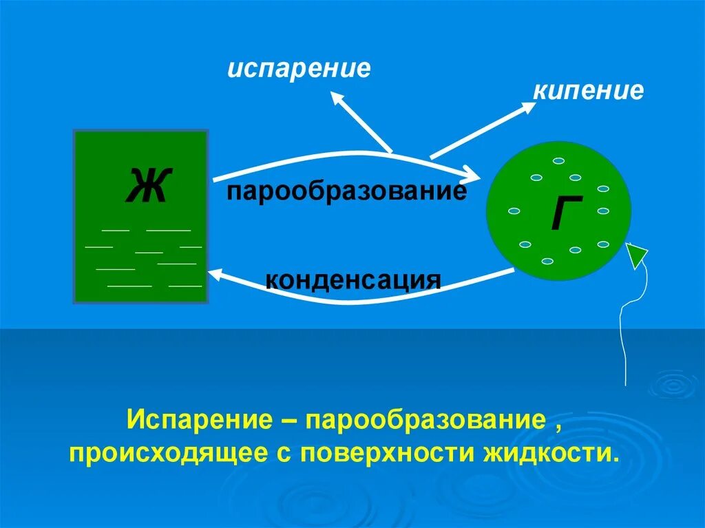 Парообразование и конденсация испарение кипение. Парпарообразование и конденсация. Испарение и конденсация физика. Испарение и конденсация. Кипение жидкости. Парообразование кипение процесс