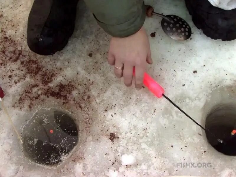 Клев плотвы зимой. Наживка для зимней рыбалки. снасти на сига для зимней рыбалки. наживка на плотву зимой. оснастка на сига для зимней рыбалки.