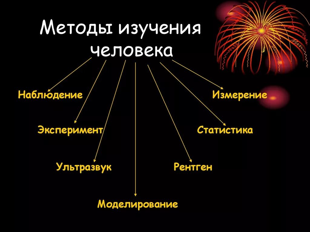 Методы исследования человека биология. Методы изучения. Современные методы исследования человека. Современные методыиследования человека. Методики изучения человека