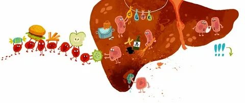 Печень для детей
