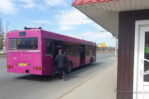Волгоград тольятти автобус