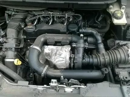 C max 1.6 tdci