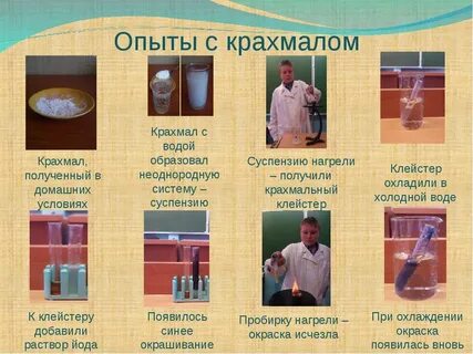 Крахмал мясо майонез