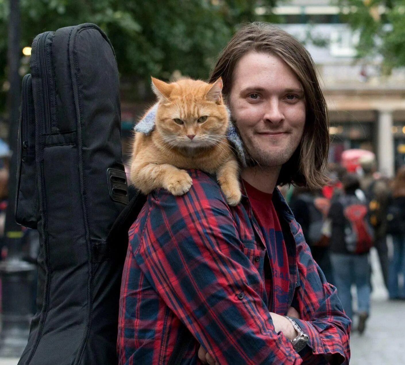 Кот боб 2. Кот боб 2. Кот боб и джеймс боуэн. Уличный кот боб. Кот боб 2.