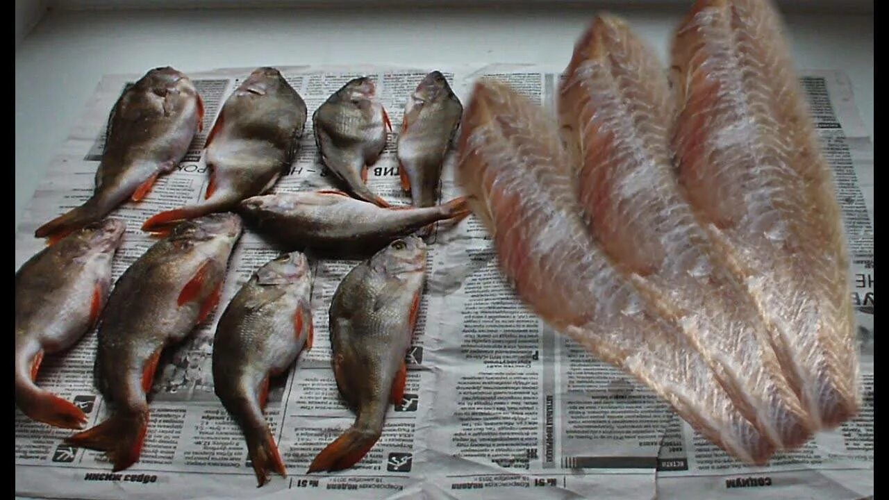 Как посолить рыбу для сушки