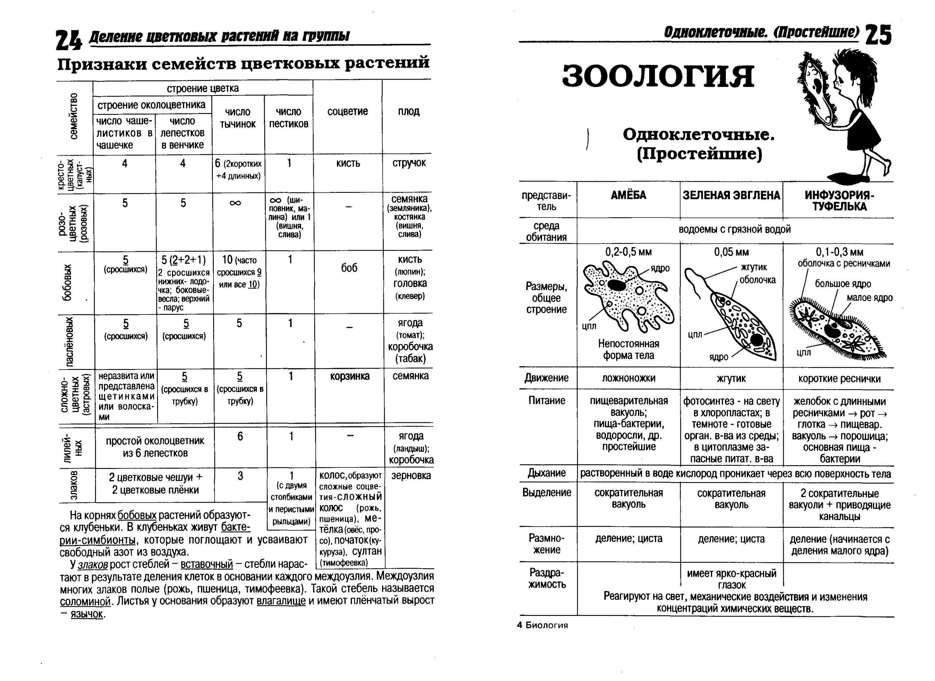 Зоология таблица. Зоология в таблицах и схемах. Сравнительная таблица по зоологии по всем. Таблица по биологии Зоология. 10 номер огэ биология