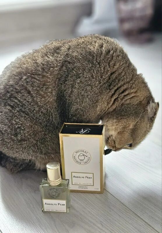 Angelys pear nicolai parfumeur createur