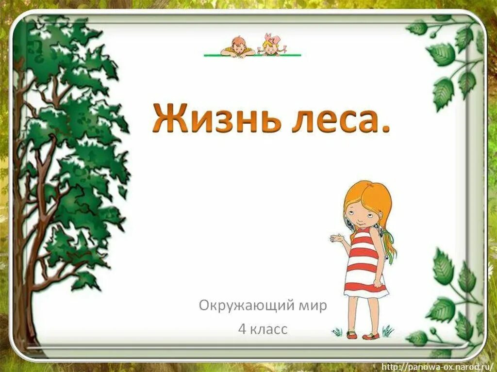 Лес презентация 4 класс плешаков. Жизнь леса. Жизнь леса окружающий мир. Жизнь леса 4 класс. Жизнь леса 4 класс окружающий мир.