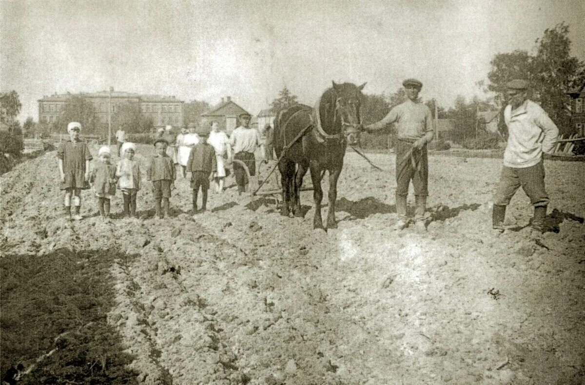 Повседневная жизнь населения в 1930 е конспект. Первая мировая крестьяне. Хозяйство гужевого транспорта. Сочи 1930-е сельское хозяйство. Крестьяне фото.