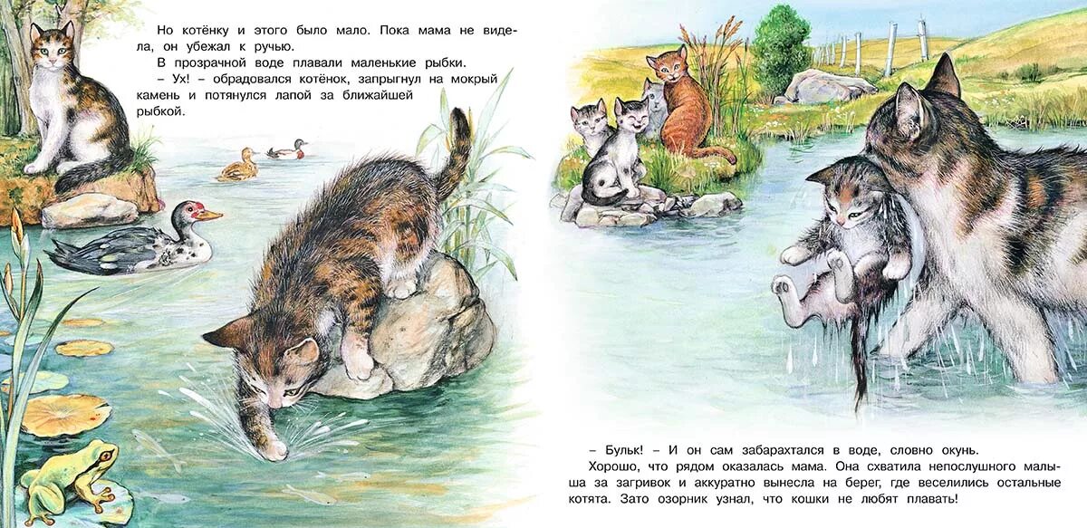 Котенок книга 3 полностью. Приключения котенка гурина. приключения котенка книга. приключения зайчонка гурина. гурина и.в. &quot;познаем мир вокруг нас. приключения котенка&quot;.