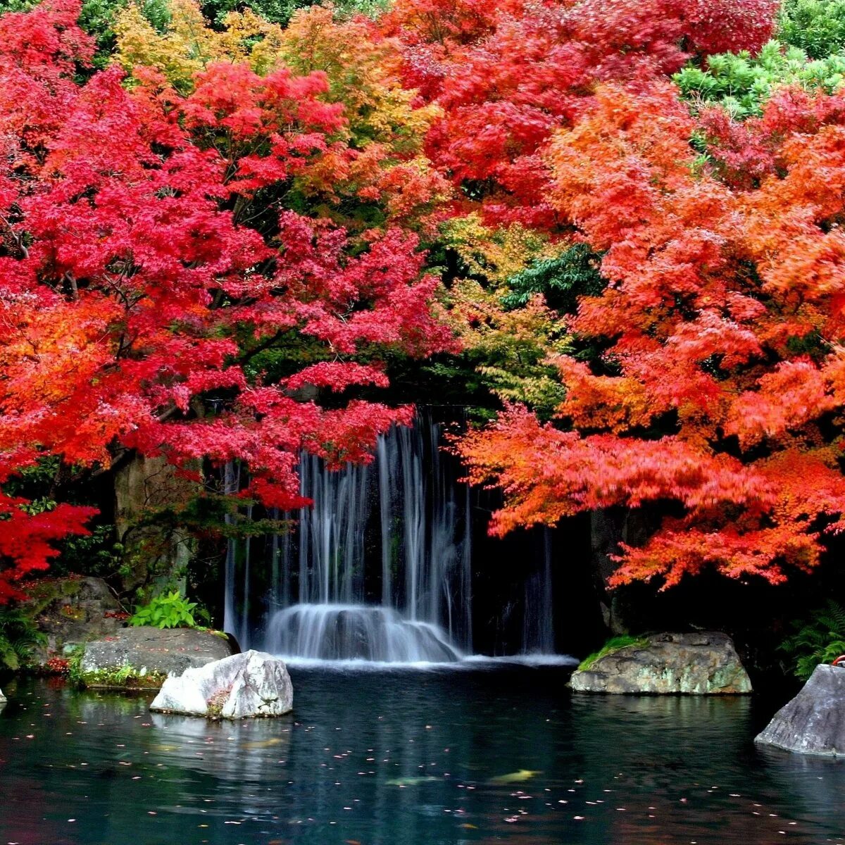 Красивая осень. Осенние обои. Природа. Красивая природа.