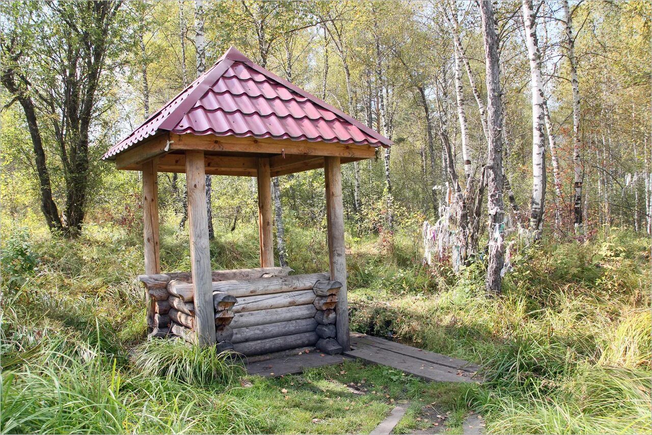 Лечебный родник. Серебряный источник Хакасия. Малые Арбаты писаница Хакасия. Родник в Хакасии. Таштыпский район серебряный ключ.