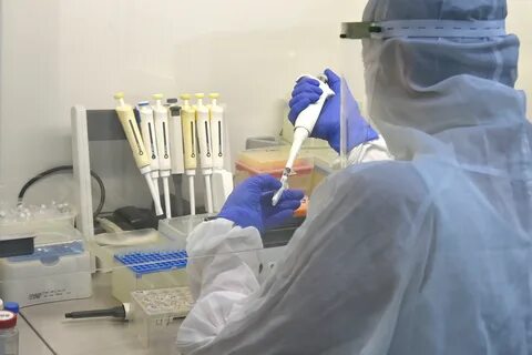 Ковид новые случаи
