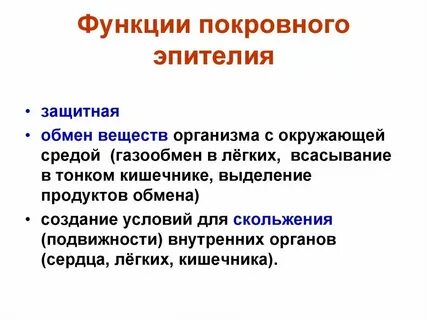Покровная система какие органы