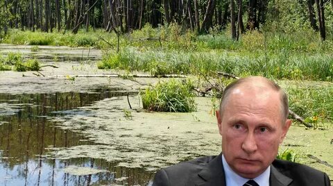 Топкое болото это