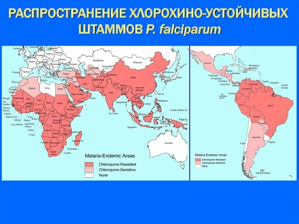 Распространение малярии. Малярия ареал распространения. Малярия фальципарум ареал. Распространенность малярии. Карта распространения малярии.