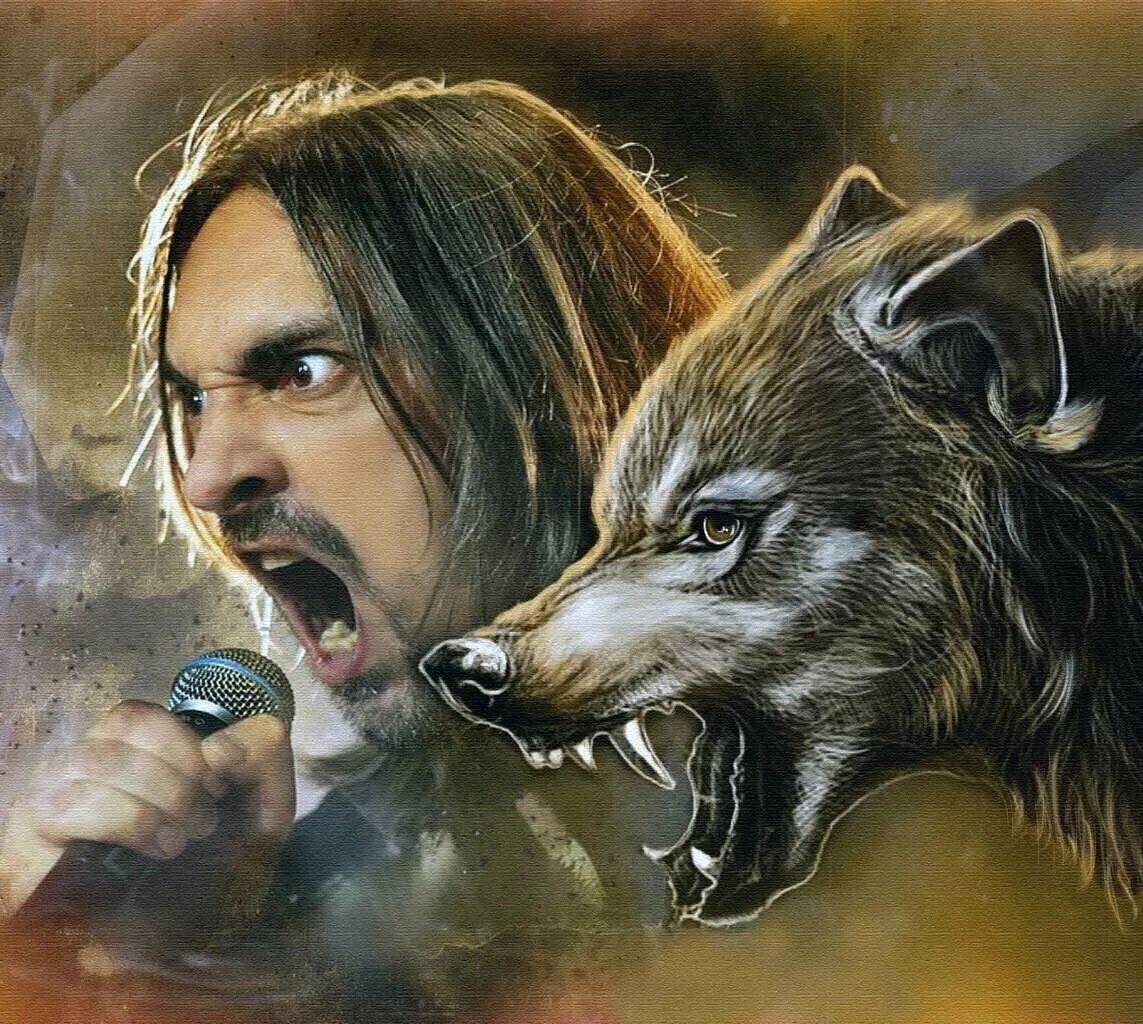 Фурри панки гиены. Король и шут лучшее. Киш лесник. Киш волки. Фурри король.