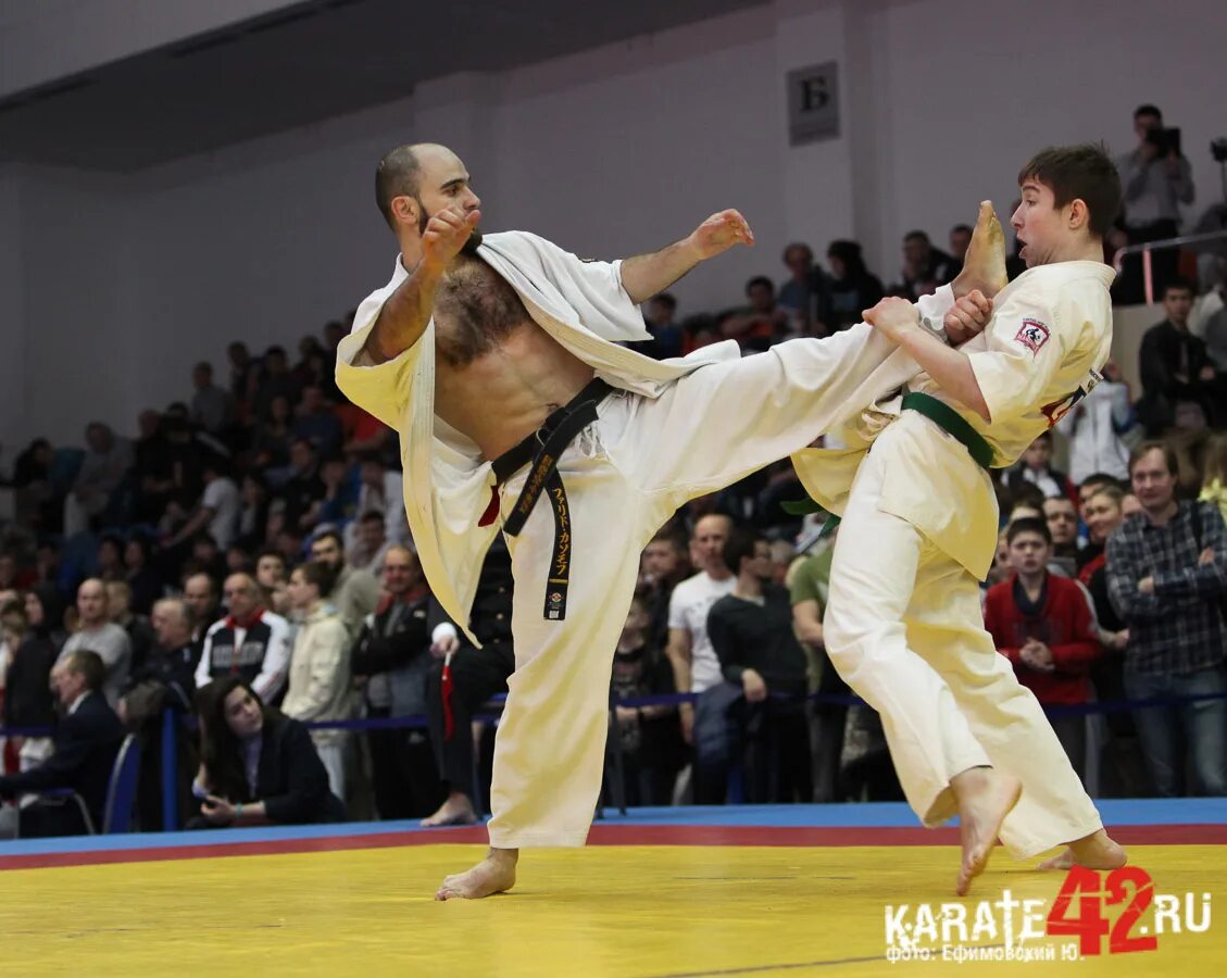 Кёкусинкай каратэ в пушкино. Каратист из сибири. Карате в сибгту. Воронеж семинар по каратэ. Ставрополь каратэ кекусинкай соревнования.