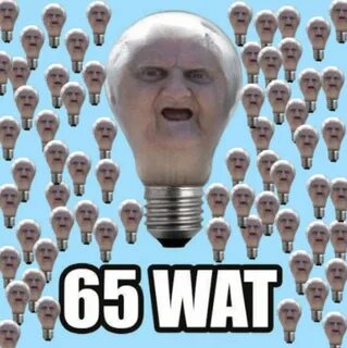 Wat wat wat wat песня