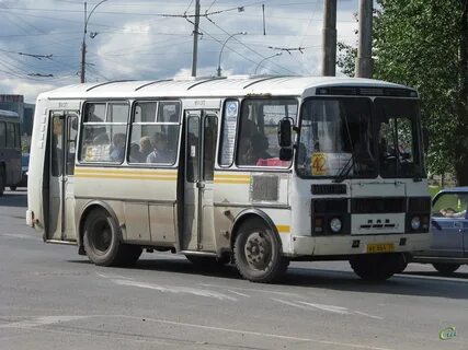 Автобус вологда дикая 2024