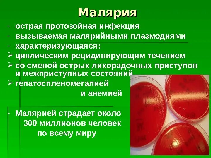 Значение малярии. Малярия инфекционные болезни. Малярийный плазмодий вызывает заболевание. Профилактика малярии.