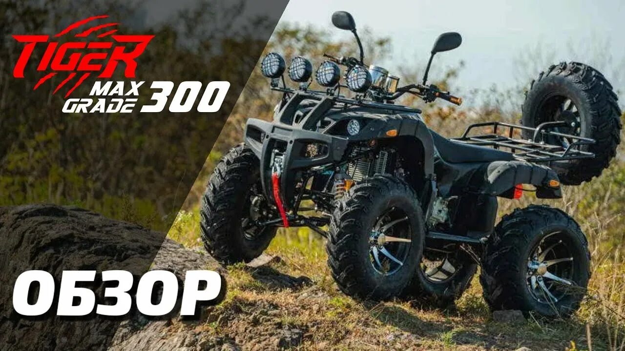 Квадроцикл Тайгер 300. Квадроцикл Тайгер Макс 300. Квадроцикл Tiger Max Grade. Tiger Max Grade 300. Макс тайгер