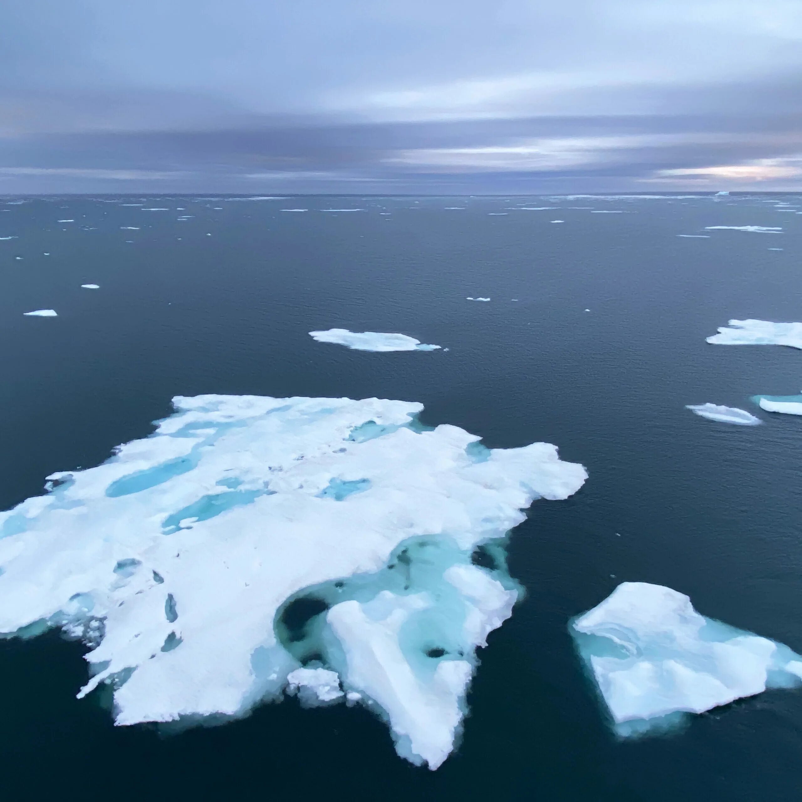 Ледовитость морей. Ледовитость мирового океана. Экспедиция в Арктику 2019. Северный морской путь заставка.